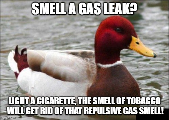 Malicious Advice Mallard Meme | SMELL A GAS LEAK? LIGHT A CIGARETTE, THE SMELL OF TOBACCO WILL GET RID OF THAT REPULSIVE GAS SMELL! | image tagged in memes,malicious advice mallard | made w/ Imgflip meme maker