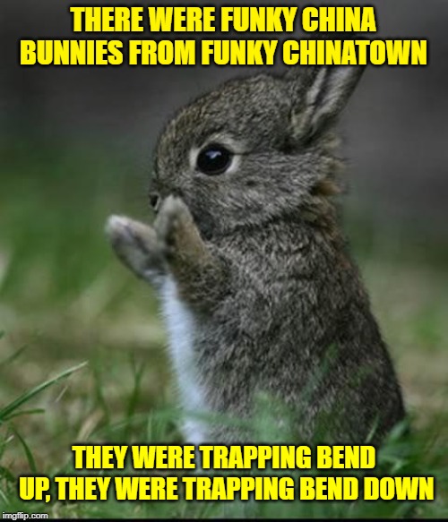 Cute Bunny | THERE WERE FUNKY CHINA BUNNIES FROM FUNKY CHINATOWN THEY WERE TRAPPING BEND UP, THEY WERE TRAPPING BEND
DOWN | image tagged in cute bunny | made w/ Imgflip meme maker
