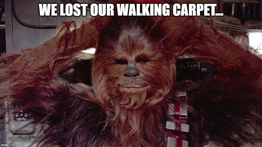 :( | WE LOST OUR WALKING CARPET... | image tagged in sad | made w/ Imgflip meme maker
