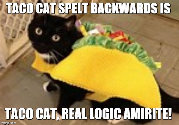 What Is Taco Cat Spelt Backward? | TACO CAT SPELT BACKWARDS IS; TACO CAT, REAL LOGIC AMIRITE! | image tagged in taco cat,logic,what if i told you,cat memes,tacos are the answer | made w/ Imgflip meme maker