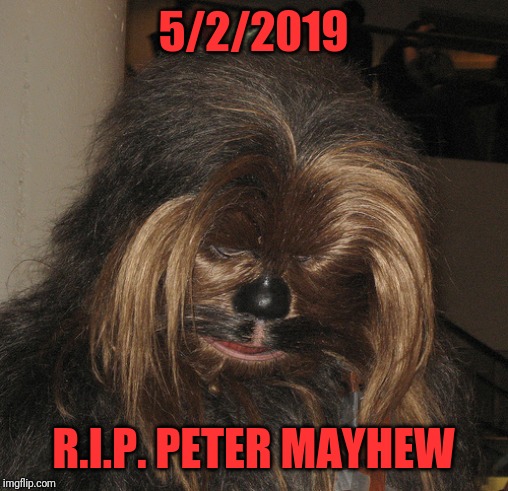 Sad Chewie | 5/2/2019; R.I.P. PETER MAYHEW | image tagged in sad chewie | made w/ Imgflip meme maker