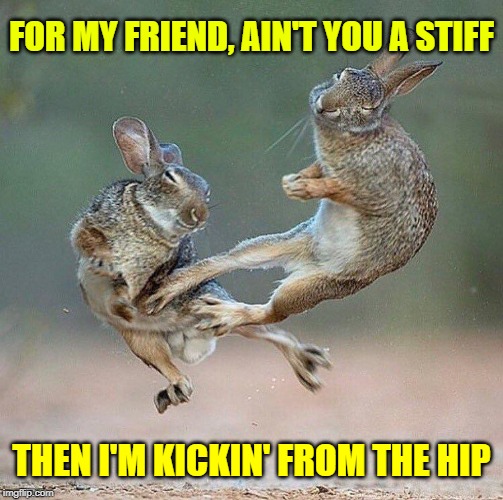 FOR MY FRIEND, AIN'T YOU A STIFF THEN I'M KICKIN'
FROM THE HIP | made w/ Imgflip meme maker