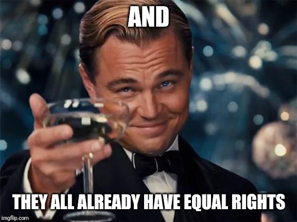 wolf of wall street | AND THEY ALL ALREADY HAVE EQUAL RIGHTS | image tagged in wolf of wall street | made w/ Imgflip meme maker