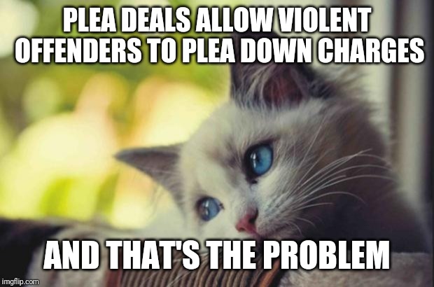 Sad cat | PLEA DEALS ALLOW VIOLENT OFFENDERS TO PLEA DOWN CHARGES AND THAT'S THE PROBLEM | image tagged in sad cat | made w/ Imgflip meme maker