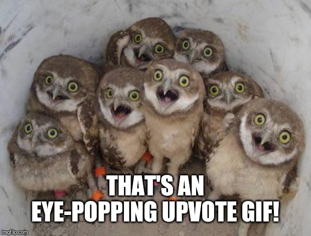 Excited Owls | THAT'S AN EYE-POPPING UPVOTE GIF! | image tagged in excited owls | made w/ Imgflip meme maker