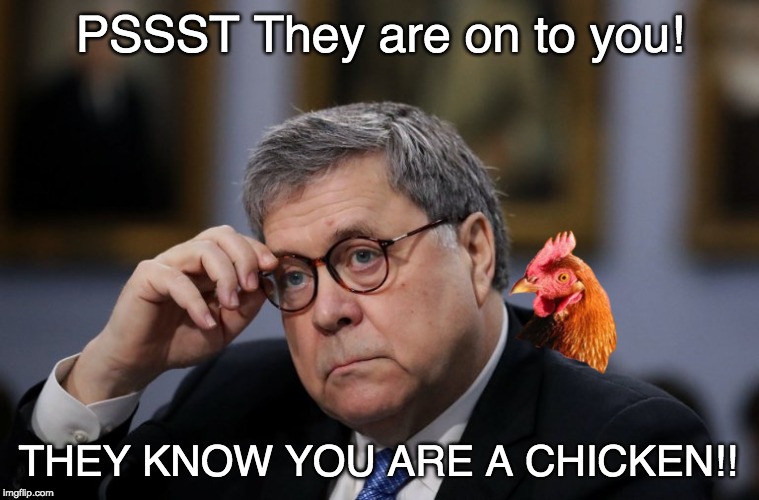 Barr Chicken | PSSST They are on to you! THEY KNOW YOU ARE A CHICKEN!! | image tagged in barr chicken,william barr,chickens know,smart chicken,barr is a chicken,trump owns barr | made w/ Imgflip meme maker