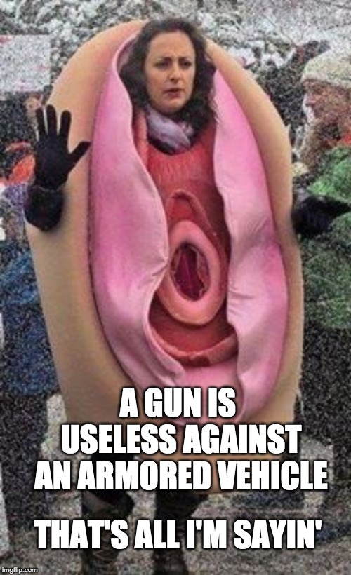 Guns vs Armored Vehicles | A GUN IS USELESS AGAINST AN ARMORED VEHICLE; THAT'S ALL I'M SAYIN' | image tagged in foolish feminist female | made w/ Imgflip meme maker