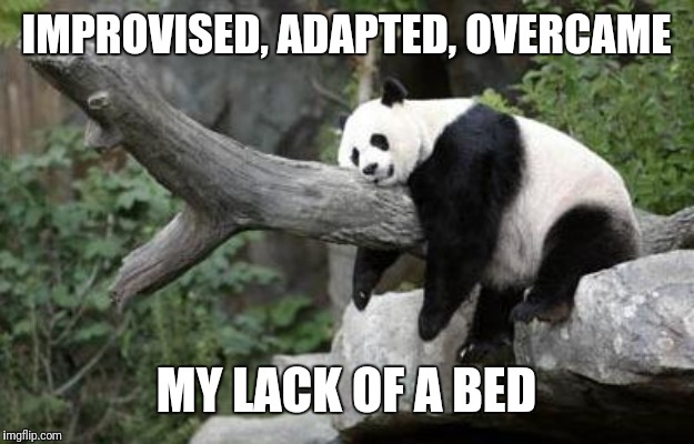 lazy panda | IMPROVISED, ADAPTED, OVERCAME MY LACK OF A BED | image tagged in lazy panda | made w/ Imgflip meme maker