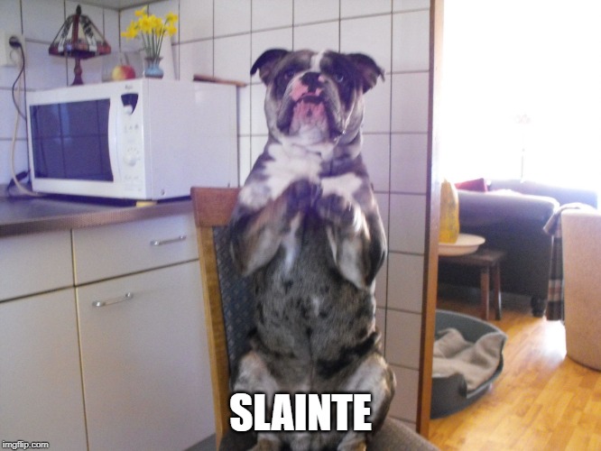 Planxty Seamus says Slainte | SLAINTE | image tagged in planxty seamus says slainte | made w/ Imgflip meme maker