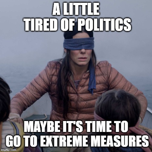 Bird Box | A LITTLE TIRED OF POLITICS; MAYBE IT'S TIME TO GO TO EXTREME MEASURES | image tagged in memes,bird box,politics,silence,i'm out,just stop | made w/ Imgflip meme maker