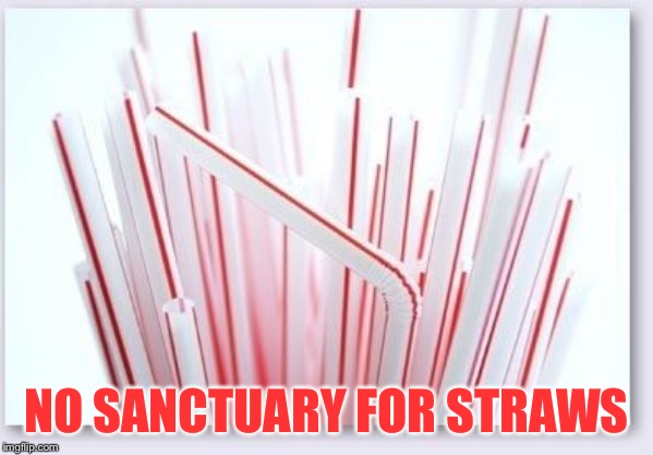 Straws | NO SANCTUARY FOR STRAWS | image tagged in straws | made w/ Imgflip meme maker