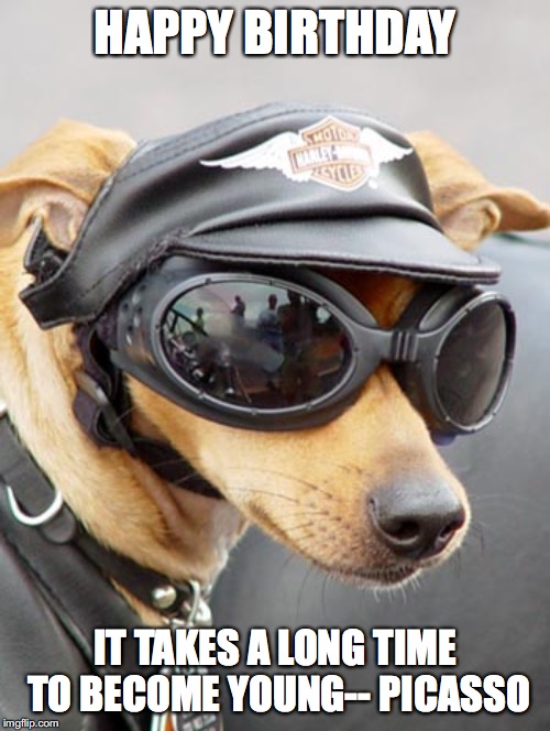 Harley Davidson Dog | HAPPY BIRTHDAY; IT TAKES A LONG TIME TO BECOME YOUNG--
PICASSO | image tagged in harley davidson dog | made w/ Imgflip meme maker