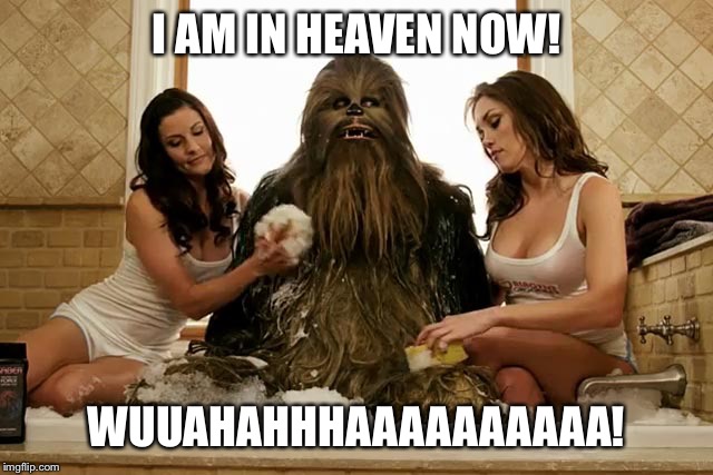 chewbacca  | I AM IN HEAVEN NOW! WUUAHAHHHAAAAAAAAAA! | image tagged in chewbacca,heaven,rip | made w/ Imgflip meme maker