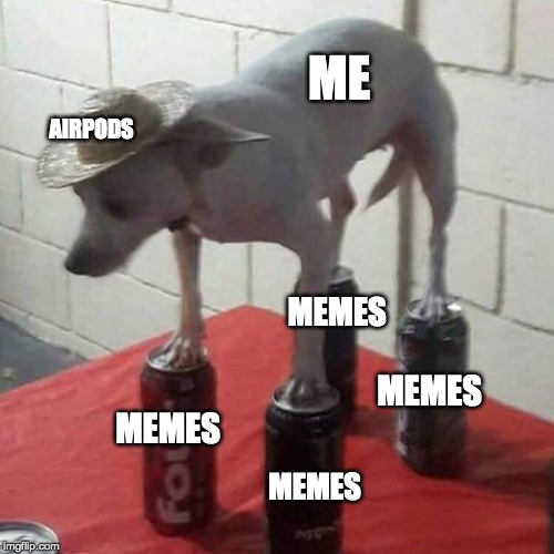 Including This One... | ME; AIRPODS; MEMES; MEMES; MEMES; MEMES | image tagged in dog on cans | made w/ Imgflip meme maker