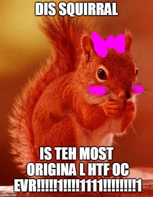 TEH MOST ORIGINAL HTF OC EVR!!!!!!1111!!!!!!!!!!!!!!!!11 | DIS SQUIRRAL; IS TEH MOST ORIGINA L HTF OC EVR!!!!!1!!!!1111!!!!!!!!1 | image tagged in happy tree friends | made w/ Imgflip meme maker