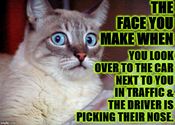 FACE YOU MAKE | THE FACE YOU MAKE WHEN; YOU LOOK OVER TO THE CAR NEXT TO YOU IN TRAFFIC & THE DRIVER IS PICKING THEIR NOSE. | image tagged in face you make | made w/ Imgflip meme maker