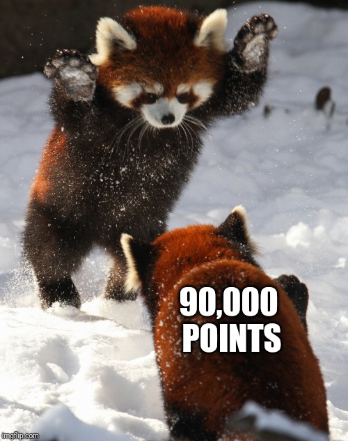 Thanks for 90k! | 90,000 POINTS | image tagged in attack red pandas,memes,90k,red_panda_memes | made w/ Imgflip meme maker