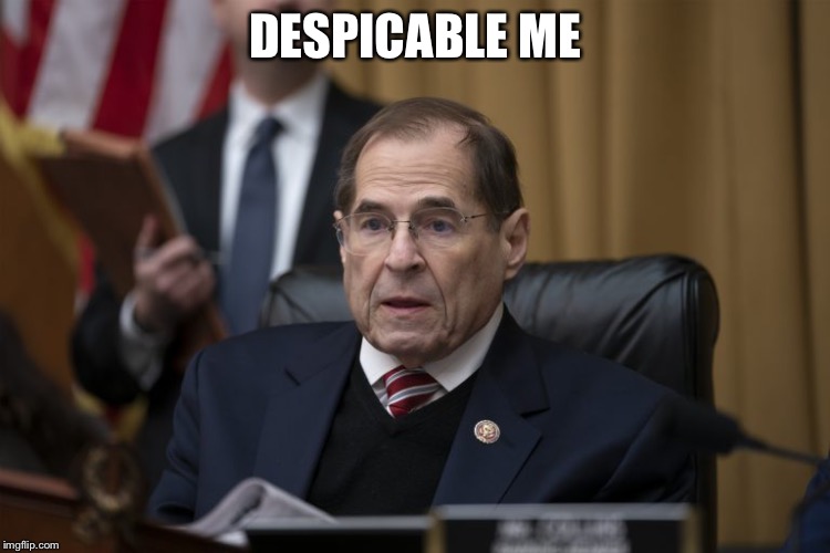 no nads nadler | DESPICABLE ME | image tagged in no nads nadler | made w/ Imgflip meme maker