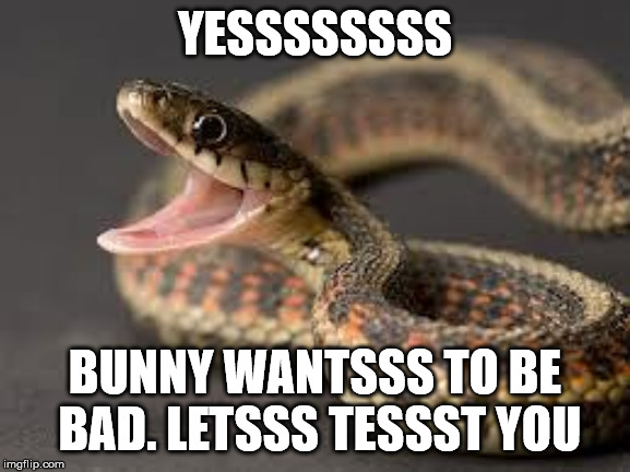 YESSSSSSSS BUNNY WANTSSS
TO BE BAD.
LETSSS TESSST YOU | image tagged in warning snake | made w/ Imgflip meme maker