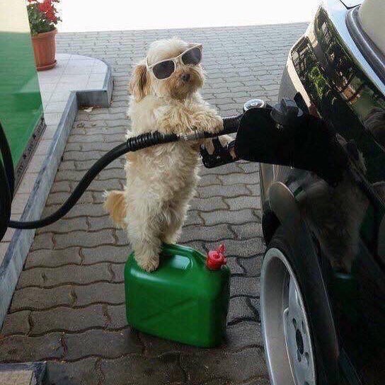 Gas Station Attendant Blank Meme Template