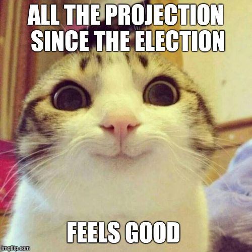 Smiling Cat Meme | ALL THE PROJECTION SINCE THE ELECTION FEELS GOOD | image tagged in memes,smiling cat | made w/ Imgflip meme maker