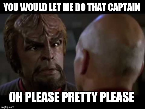 Lt. Worf | YOU WOULD LET ME DO THAT CAPTAIN OH PLEASE PRETTY PLEASE | image tagged in lt worf | made w/ Imgflip meme maker