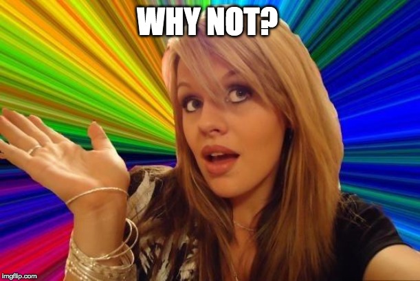 Dumb Blonde Meme | WHY NOT? | image tagged in memes,dumb blonde | made w/ Imgflip meme maker