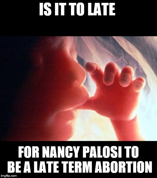 Abortion | IS IT TO LATE; FOR NANCY PALOSI TO BE A LATE TERM ABORTION | image tagged in abortion | made w/ Imgflip meme maker