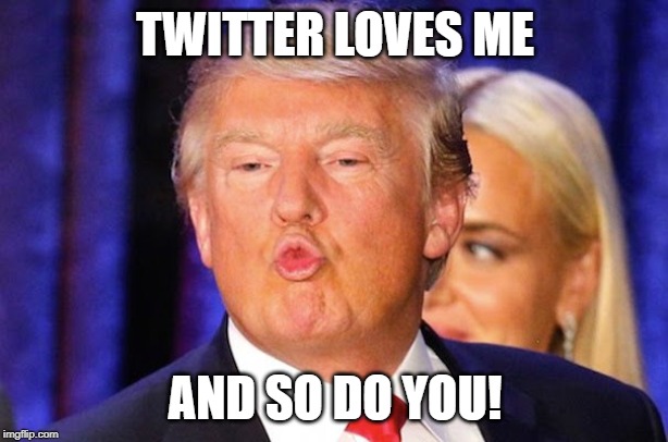 TWITTER LOVES ME; AND SO DO YOU! | image tagged in donald trump | made w/ Imgflip meme maker