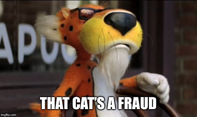 chester cheeto | THAT CAT’S A FRAUD | image tagged in chester cheeto | made w/ Imgflip meme maker