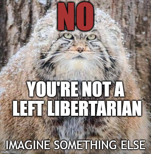 NO You're Not a Left Libertarian | NO; YOU'RE NOT A LEFT LIBERTARIAN; IMAGINE SOMETHING ELSE | image tagged in libertarian,political humor,libertarianism,politics | made w/ Imgflip meme maker
