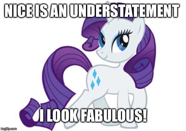 Rarity |  NICE IS AN UNDERSTATEMENT; I LOOK FABULOUS! | image tagged in memes,rarity | made w/ Imgflip meme maker