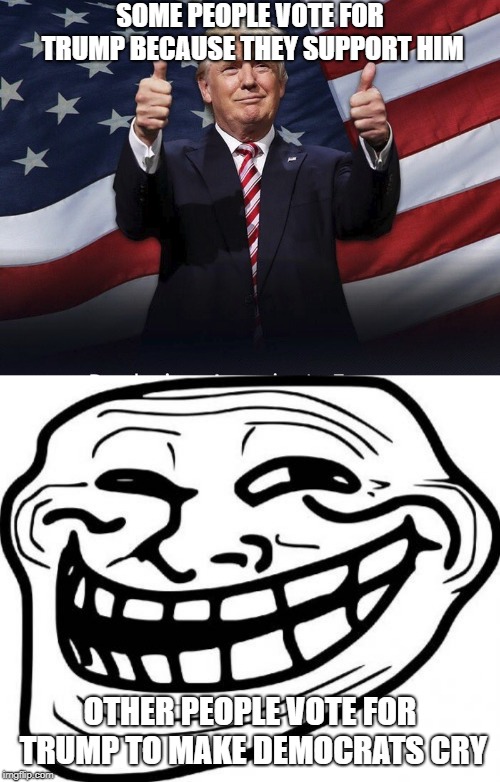 Trump Trolling | SOME PEOPLE VOTE FOR TRUMP BECAUSE THEY SUPPORT HIM; OTHER PEOPLE VOTE FOR TRUMP TO MAKE DEMOCRATS CRY | image tagged in memes,troll face,donald trump thumbs up | made w/ Imgflip meme maker