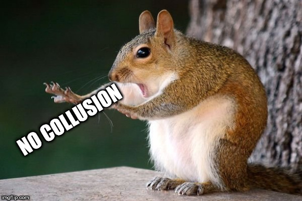 stop | NO COLLUSION | image tagged in stop | made w/ Imgflip meme maker