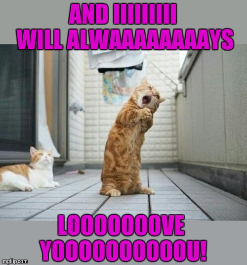I will always love you❤ ❤ ❤ | AND IIIIIIIII WILL ALWAAAAAAAAYS; LOOOOOOOVE YOOOOOOOOOOU! | image tagged in singing cat,i will always love you,dolly parton,song lyrics,cats | made w/ Imgflip meme maker
