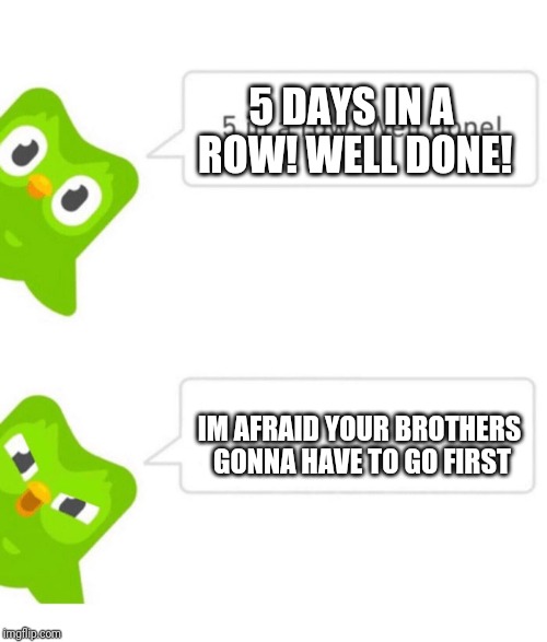 Duolingo 5 in a row | 5 DAYS IN A ROW! WELL DONE! IM AFRAID YOUR BROTHERS GONNA HAVE TO GO FIRST | image tagged in duolingo 5 in a row | made w/ Imgflip meme maker