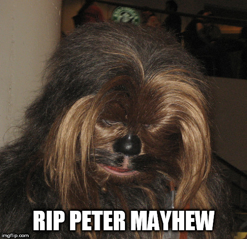 Sad Chewie | RIP PETER MAYHEW | image tagged in sad chewie | made w/ Imgflip meme maker