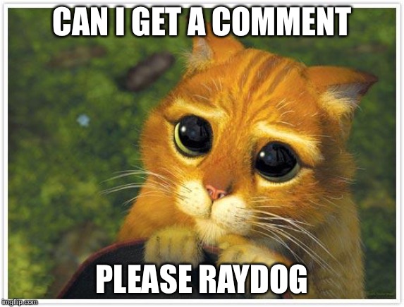 Shrek Cat Meme | CAN I GET A COMMENT; PLEASE RAYDOG | image tagged in memes,shrek cat | made w/ Imgflip meme maker