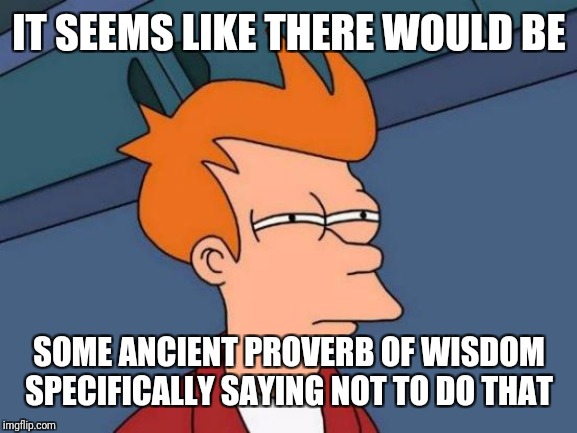 Futurama Fry Meme | IT SEEMS LIKE THERE WOULD BE SOME ANCIENT PROVERB OF WISDOM SPECIFICALLY SAYING NOT TO DO THAT | image tagged in memes,futurama fry | made w/ Imgflip meme maker