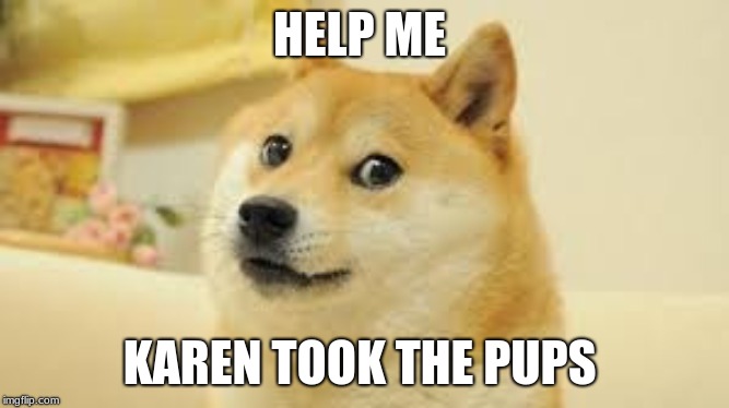 HELP ME; KAREN TOOK THE PUPS | image tagged in karen took the kids,doge | made w/ Imgflip meme maker