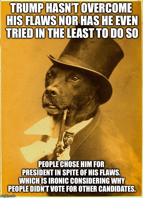 Dapper | TRUMP HASN’T OVERCOME HIS FLAWS NOR HAS HE EVEN TRIED IN THE LEAST TO DO SO PEOPLE CHOSE HIM FOR PRESIDENT IN SPITE OF HIS FLAWS.  WHICH IS  | image tagged in dapper | made w/ Imgflip meme maker