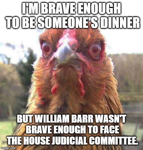 revenge chicken | I'M BRAVE ENOUGH TO BE SOMEONE'S DINNER; BUT WILLIAM BARR WASN'T BRAVE ENOUGH TO FACE THE HOUSE JUDICIAL COMMITTEE. | image tagged in revenge chicken | made w/ Imgflip meme maker