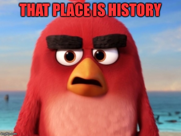 Angry Birds | THAT PLACE IS HISTORY | image tagged in angry birds | made w/ Imgflip meme maker