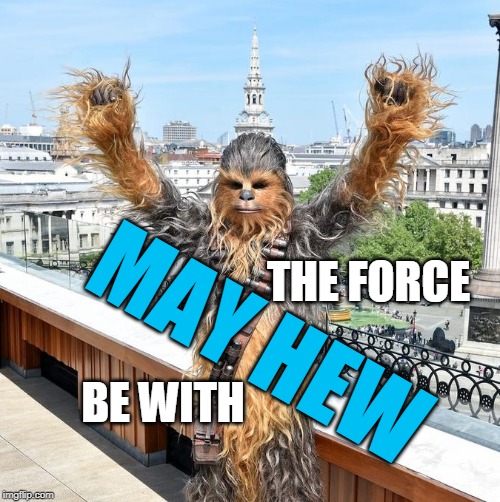 Punch It Chewie | THE FORCE; MAY HEW; BE WITH | image tagged in chewbacca | made w/ Imgflip meme maker