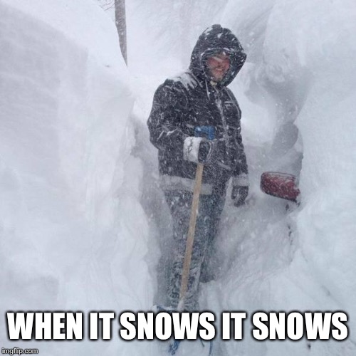 SNOW!!! | WHEN IT SNOWS IT SNOWS | image tagged in snow | made w/ Imgflip meme maker