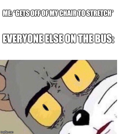 ME: *GETS OFF OF MY CHAIR TO STRETCH*; EVERYONE ELSE ON THE BUS: | image tagged in blank white template | made w/ Imgflip meme maker