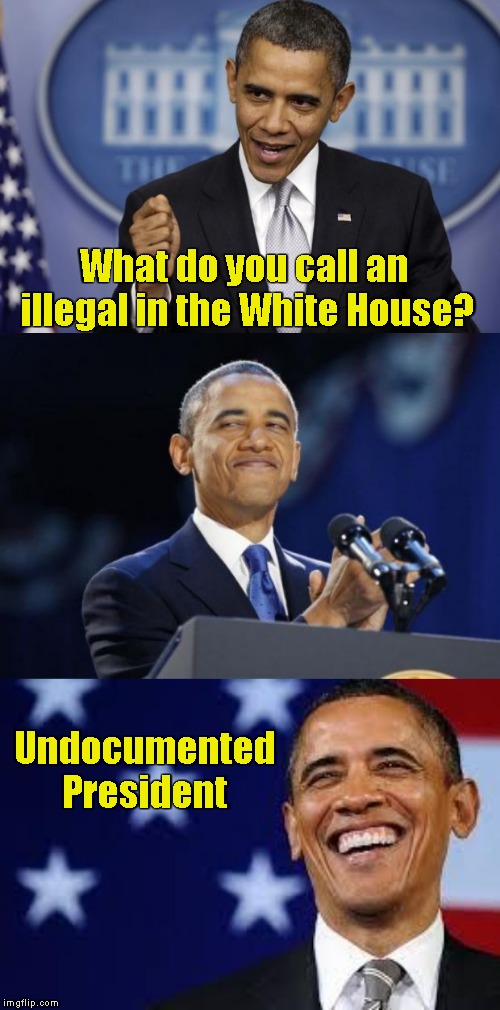 What do you call an illegal in the White House? Undocumented President | image tagged in memes,2nd term obama,barack obama,thanks obama | made w/ Imgflip meme maker
