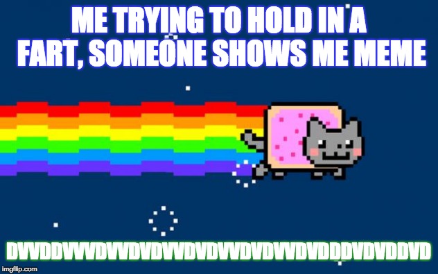 Nyan Cat | ME TRYING TO HOLD IN A FART, SOMEONE SHOWS ME MEME; DVVDDVVVDVVDVDVVDVDVVDVDVVDVDDDVDVDDVD | image tagged in nyan cat | made w/ Imgflip meme maker
