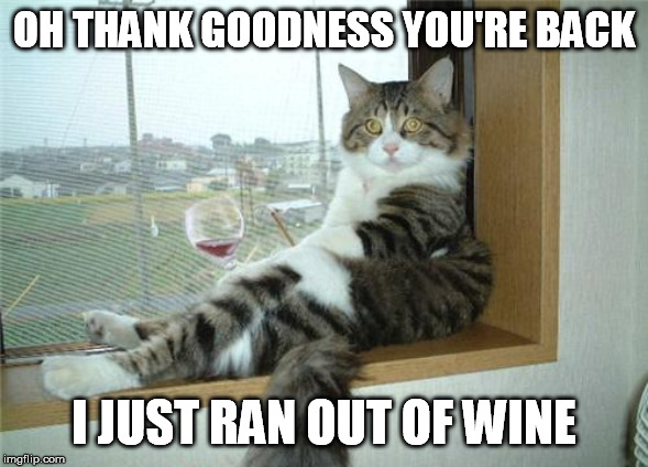 OH THANK GOODNESS YOU'RE BACK I JUST RAN OUT OF WINE | made w/ Imgflip meme maker