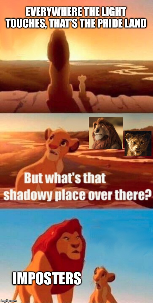 Simba Shadowy Place | EVERYWHERE THE LIGHT TOUCHES, THAT’S THE PRIDE LAND; IMPOSTERS | image tagged in memes,simba shadowy place | made w/ Imgflip meme maker